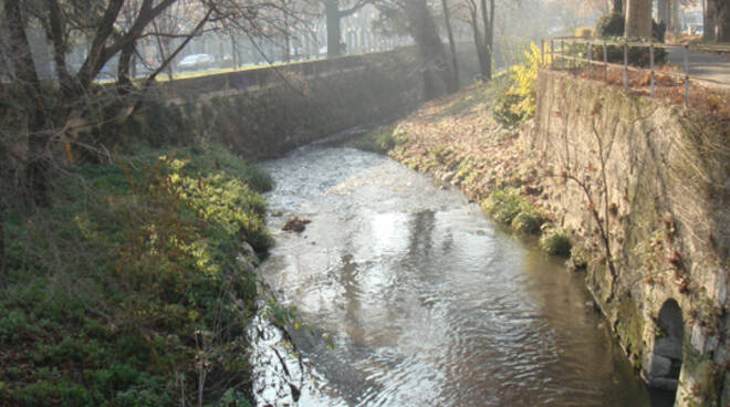 torrente garza