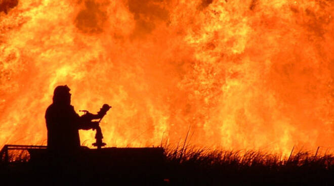 bosco incendio