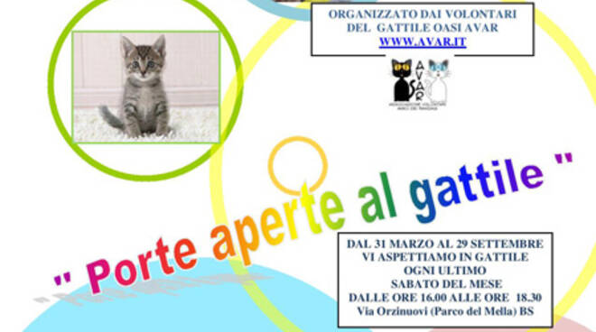 gattile brescia