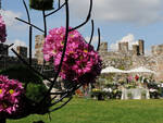 Lonato_Fiori nella rocca