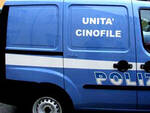 polizia unità cinofila