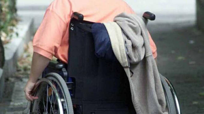 disabile sedia rotelle