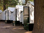 curry-village-yosemite park