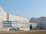 ospedale maggiore Cremona