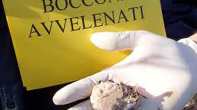 bocconi avvelenati