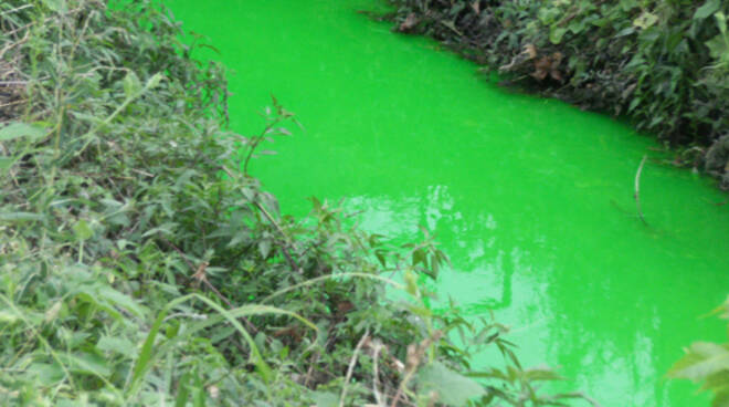 vaso fiume verde 3