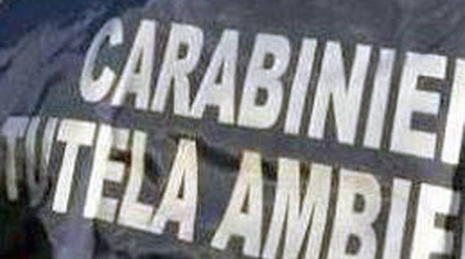 noe carabinieri slide