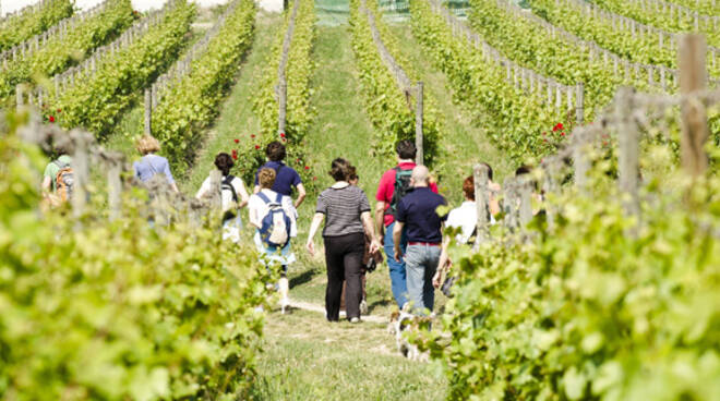 Passeggiate in Franciacorta