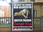 animal amnesty pasqua