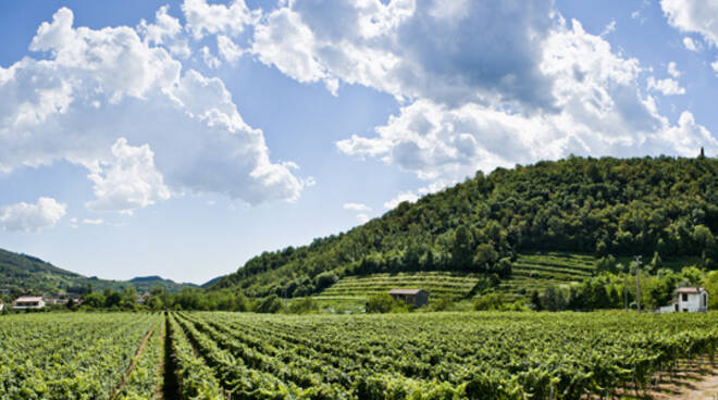 La Franciacorta