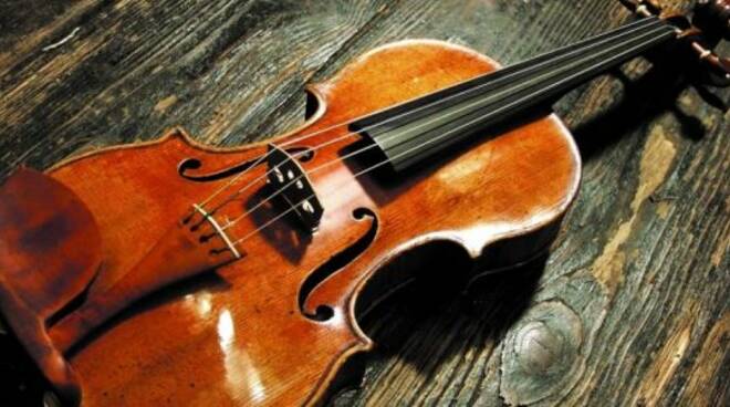 Violino