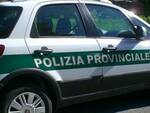 Polizia provinciale