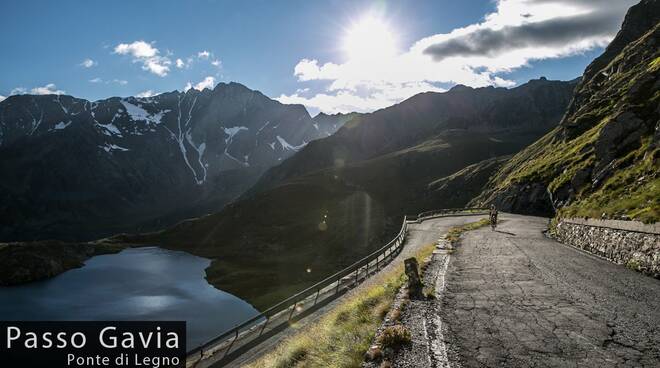 passo-gavia