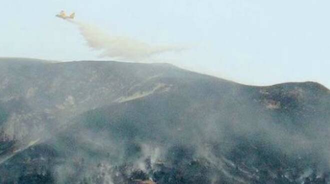 Incendio Collio