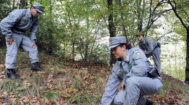 carabinieri-forestali