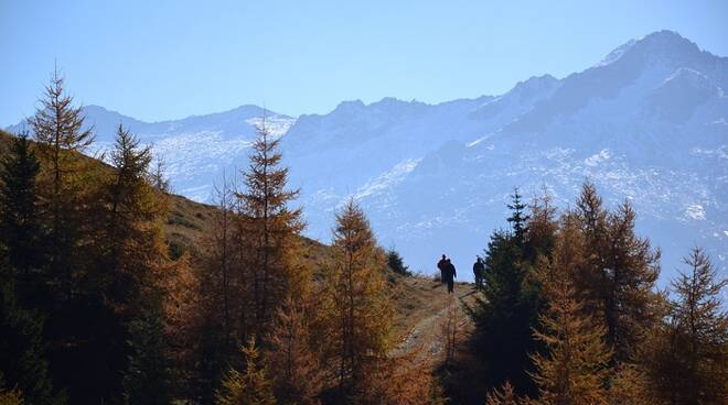 parco-adamello