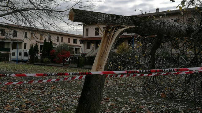 taglia-alberi-parco-san-polo