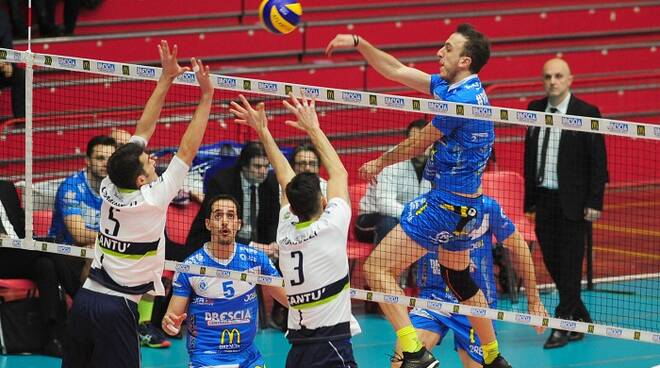 brescia-cantù-volley