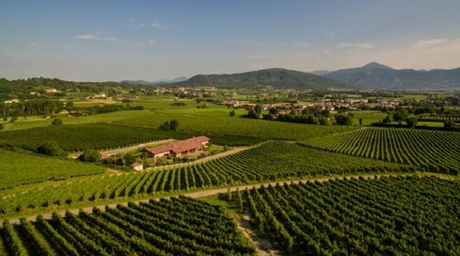 Ronco Calino cantina e vigneti - ph Mattia Pagani