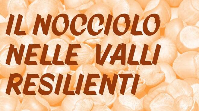 nocciolo