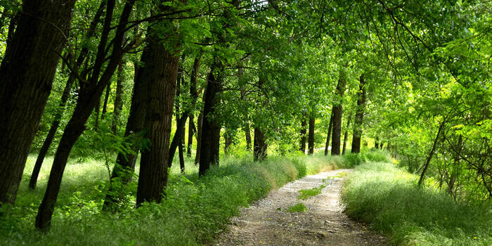 rudiano-maltempo-parco-oglio