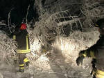 neve-tonale-presena-ponte-di-legno