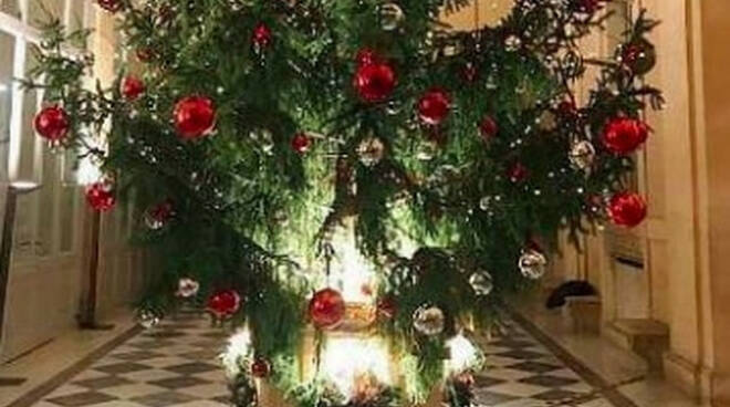 valvestino alto garda alberi natale quirinale