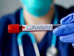 coronavirus la guerra continua