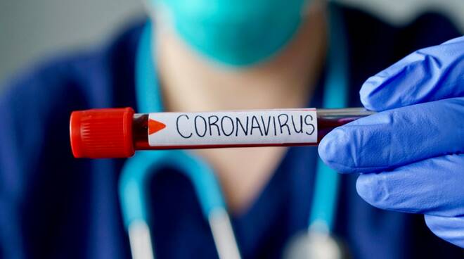 coronavirus la guerra continua