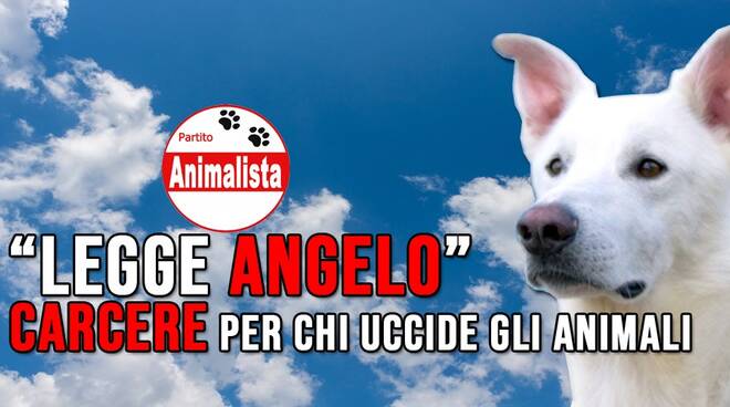 legge angelo partito animalista