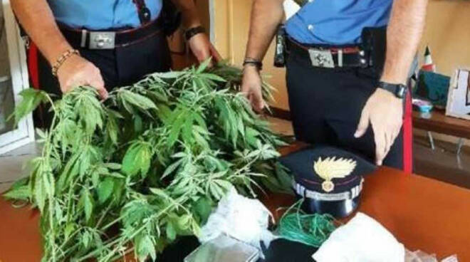 Isorella coltiva marijuana e spaccia droga dalla cascina in arresto