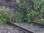 Maltempo mattina di circolazione in tilt sui treni della Lombardia