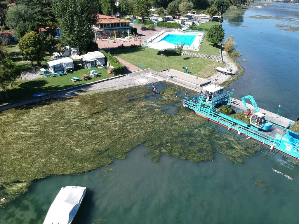 Lago d'Iseo: battello spazzino raccoglie 500 tonnellate di alghe 