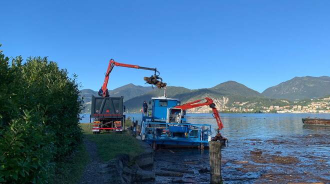 Lago d'Iseo: battello spazzino raccoglie 500 tonnellate di alghe 