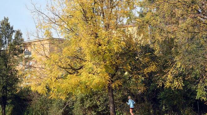 Brescia, autunno nei parchi della città