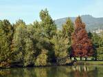 Brescia, autunno nei parchi della città