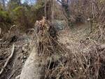 Frana a monte della strada, chiusa la Sp 345 Delle Tre Valli