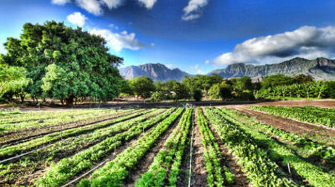 agricoltura biologico