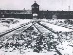 Giornata della Memoria Auschwitz Birkenau