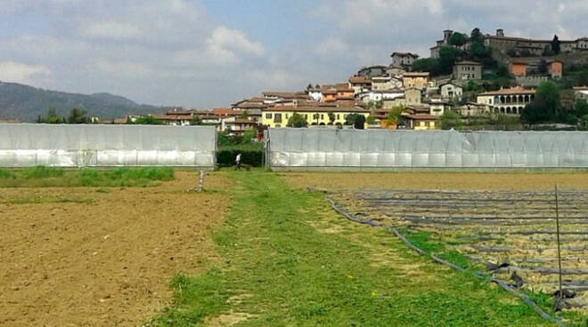 Capriolo ladri di nuovo alla coop sociale Via con gli attrezzi agricoli