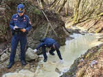 Odolo forestali sequestrano discarica abusiva nel torrente