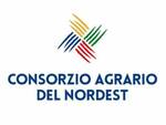 Consorzio Agrario del Nordest