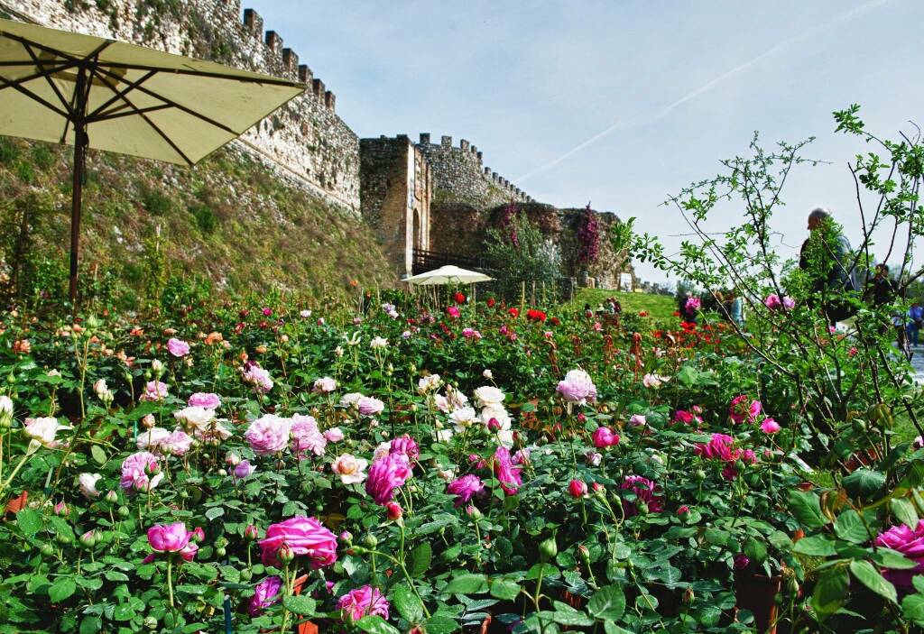 Fiori nella Rocca, dal 28 al 30 maggio a Lonato del Garda