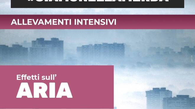 Verdi-Europa Verde Brescia, campagna informativa sugli allevamenti intensivi