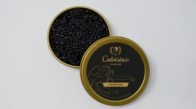 Calvisius vittoria alata