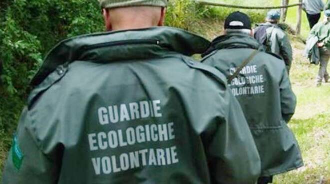 guardie ecologiche volontarie