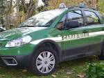 carabinieri forestali