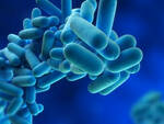 legionella