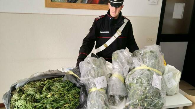 marijuana in garage di marcheno, tre arresti