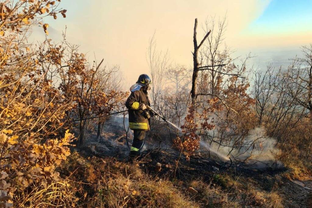 Incendio monte maddalena